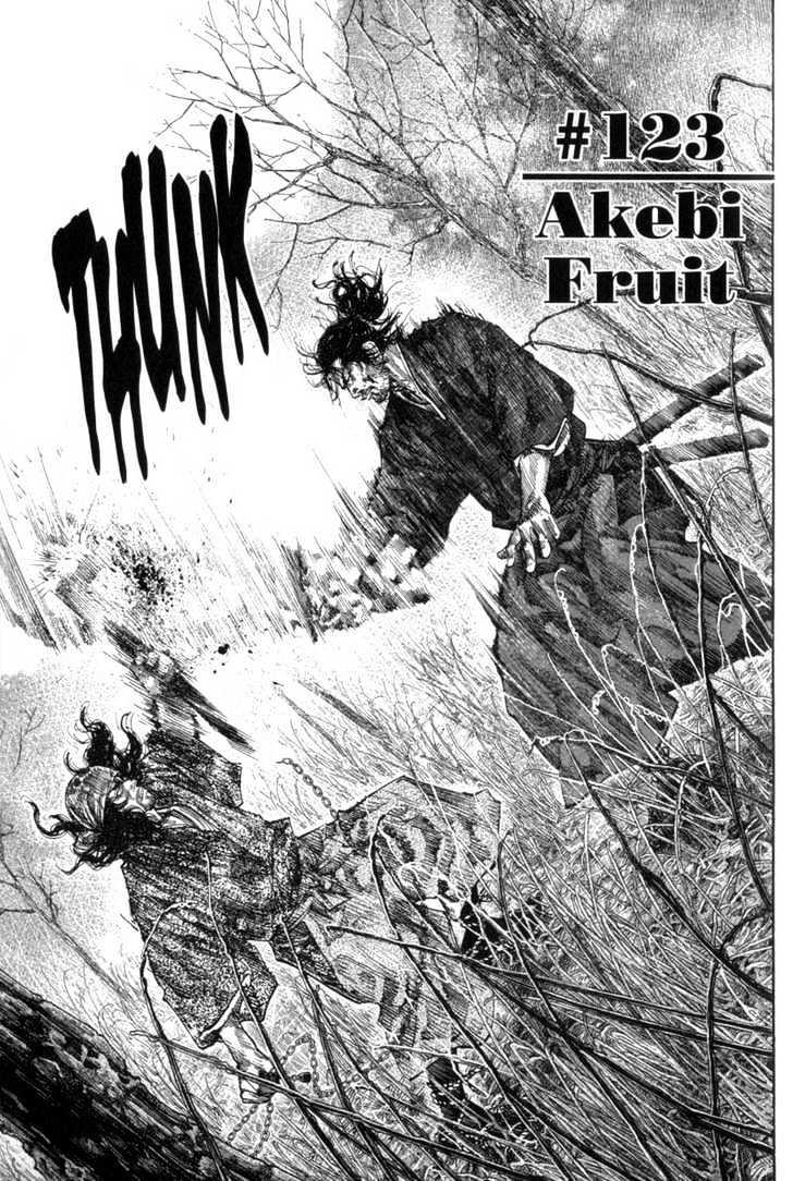 Vagabond Vol.13 Chapter 123 : Akebi Fruit page 1 - Mangakakalot