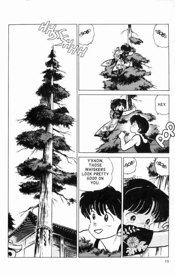 Ranma 1/2 Chapter 113: Serious Side Effects  