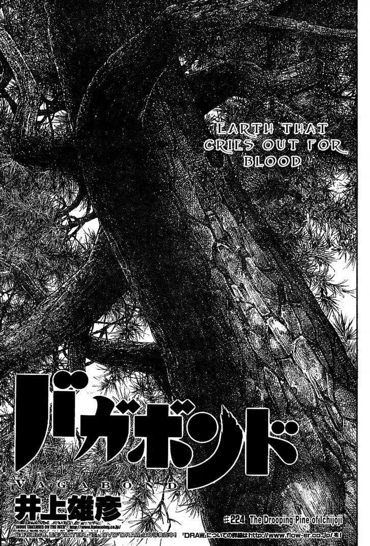 Vagabond Vol.25 Chapter 224 : Ichijoji Sagarimatsu page 2 - Mangakakalot