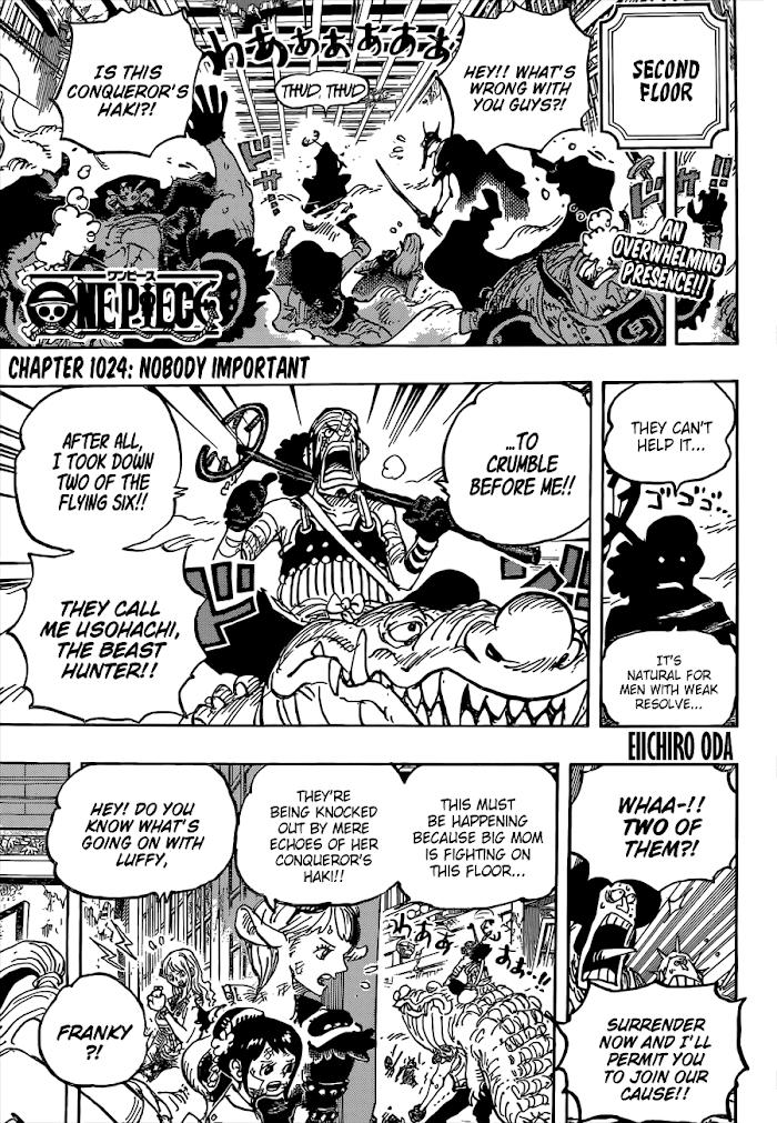 ONE PIECE CHAPTER 1024: NOBODY IMPORTANT, Page 15
