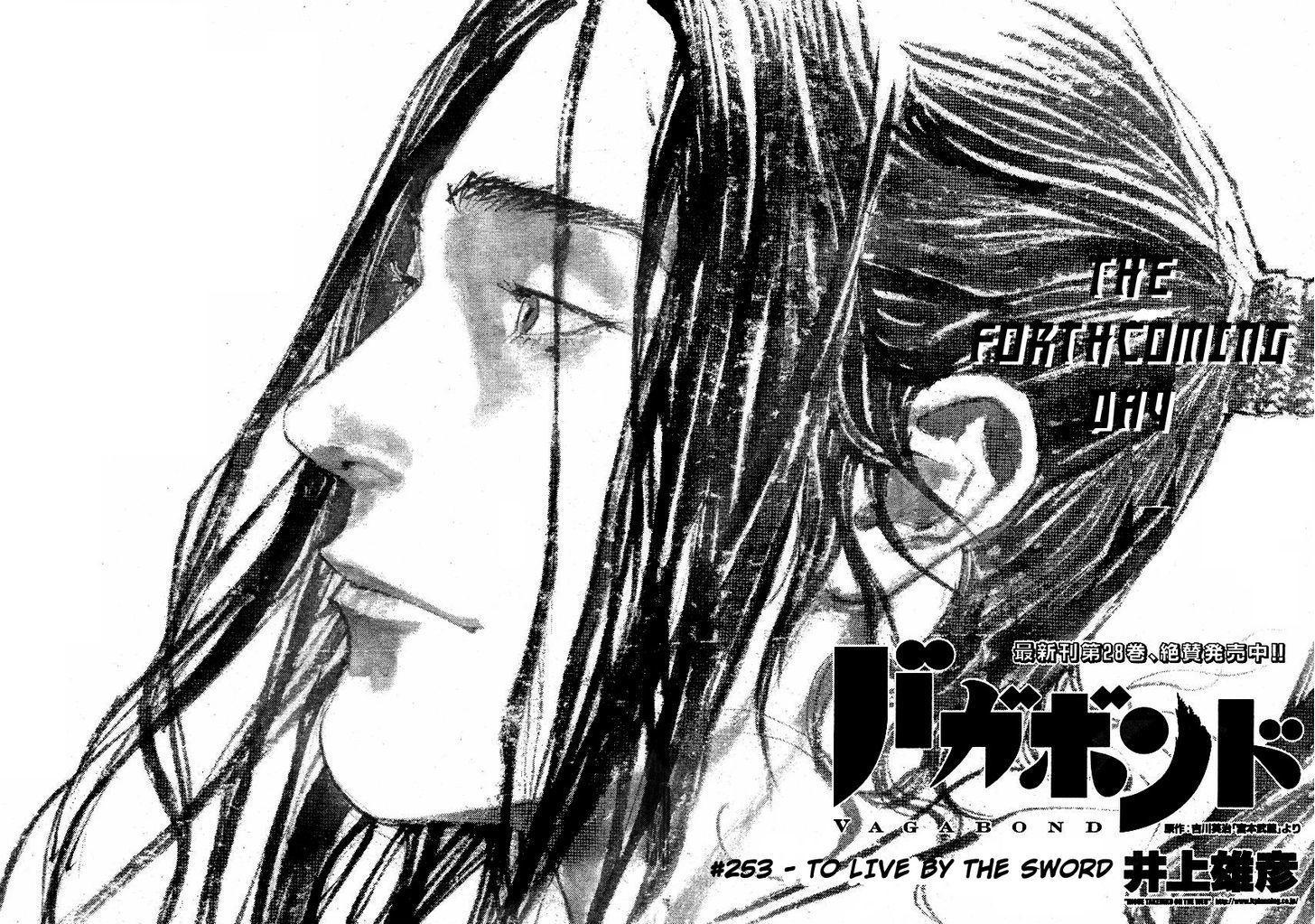 Vagabond Vol.29 Chapter 253 : To Live By The Sword page 3 - Mangakakalot
