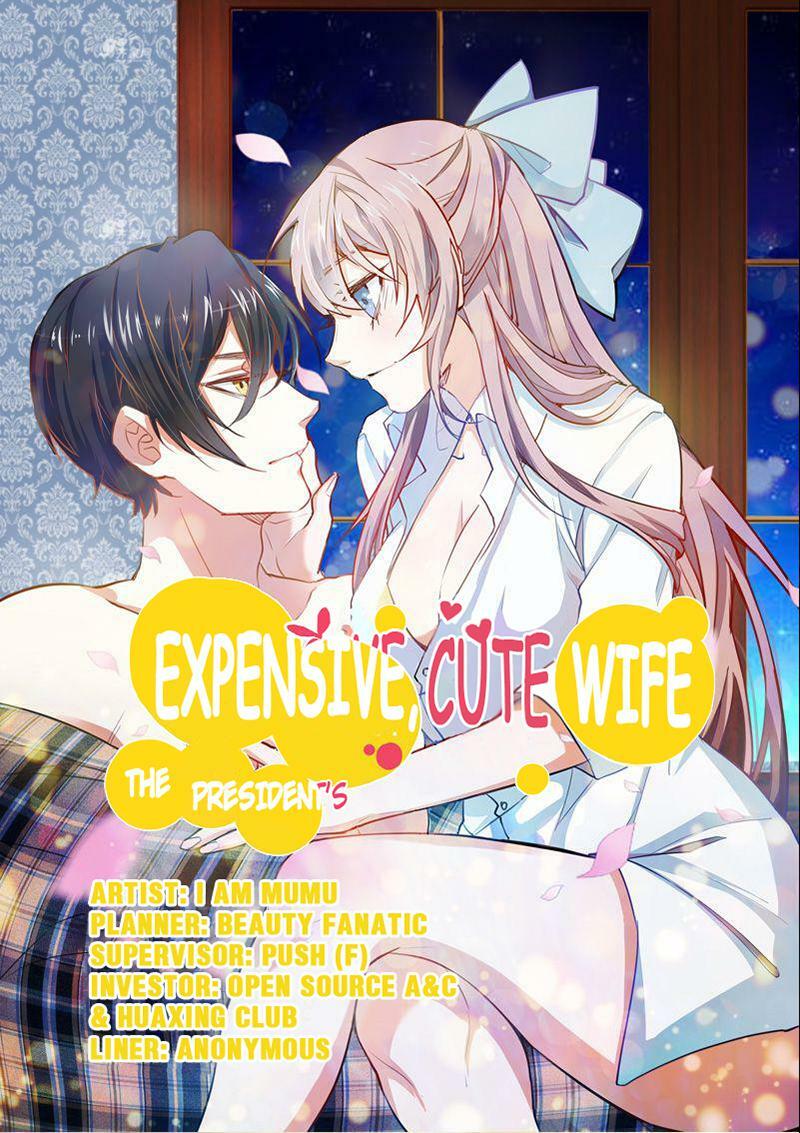 Read The President\'s Expensive, Cute Wife Chapter 1: Episode 1 on ...