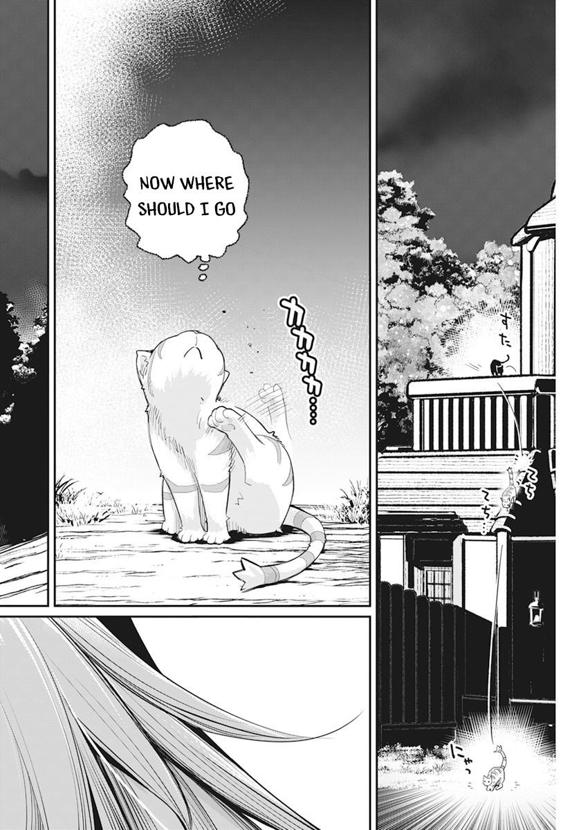 I Am Behemoth Of The S Rank Monster But I Am Mistaken As A Cat And I Live As A Pet Of Elf Girl Chapter 38 page 22 - Mangakakalots.com
