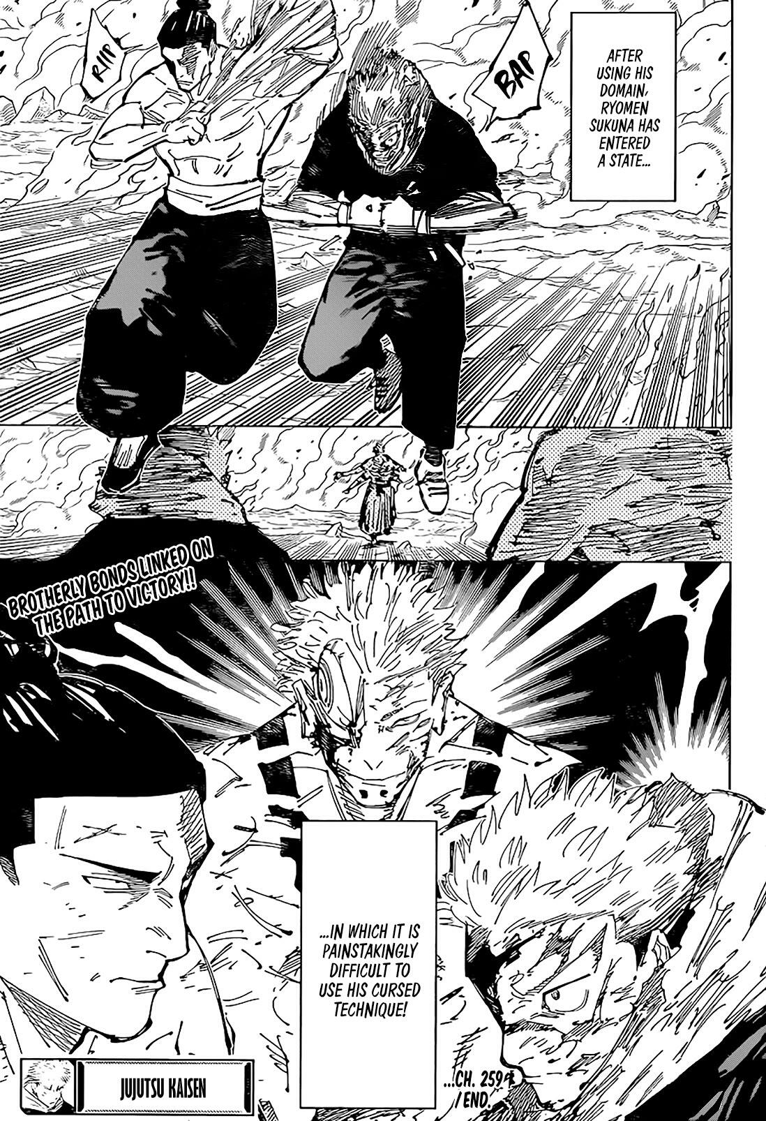 Jujutsu Kaisen Chapter 259: The Decisive Battle In The Uninhabited, Demon-Infested Shinjuku ㉛ page 17 - kaisenjujutsu.com