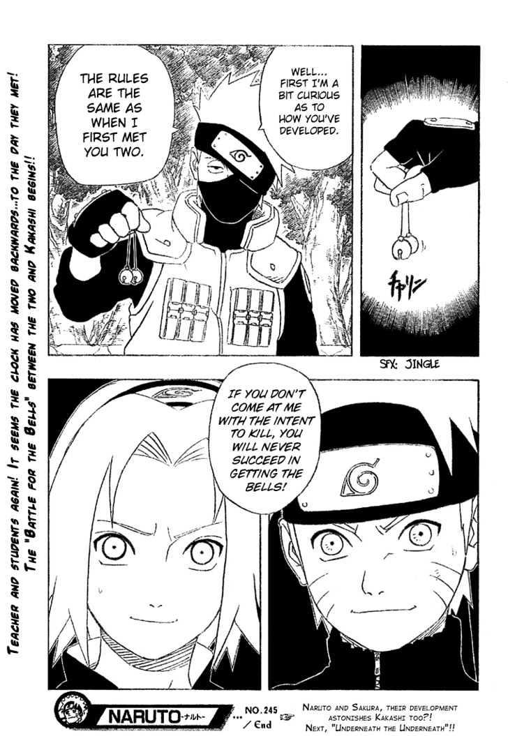 Vol.28 Chapter 245 – Naruto’s Homecoming!! | 17 page