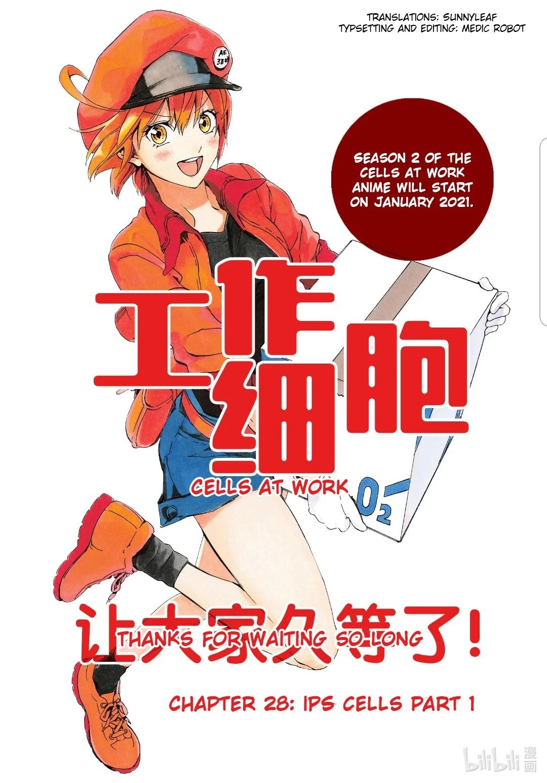 Read Hataraku Saibou Chapter 28: Ips Cells on Mangakakalot