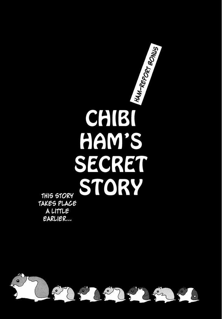 Read Hamster No Kenkyuu Report Vol 1 Chapter 8 Chibi Ham S Secret Story On Mangakakalot