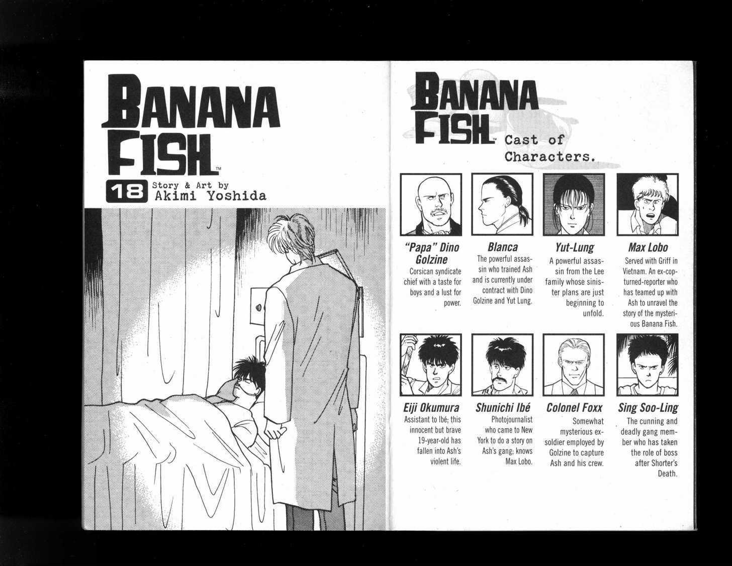 Banana Fish Manga Volume 18