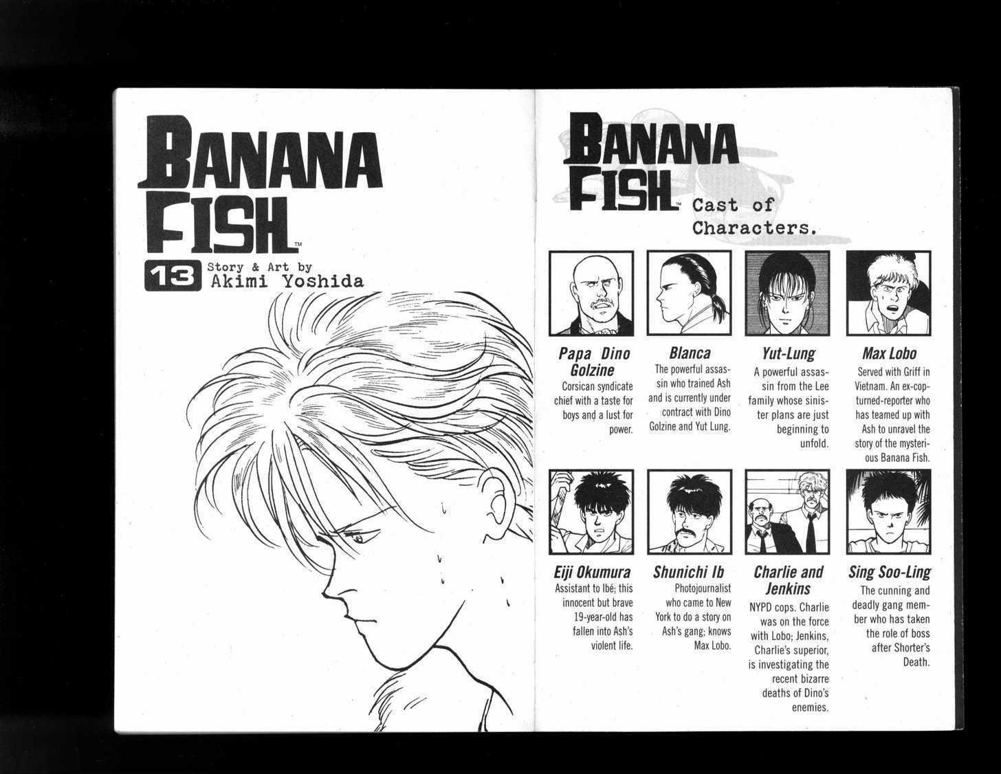 Banana Fish Manga Volume 13