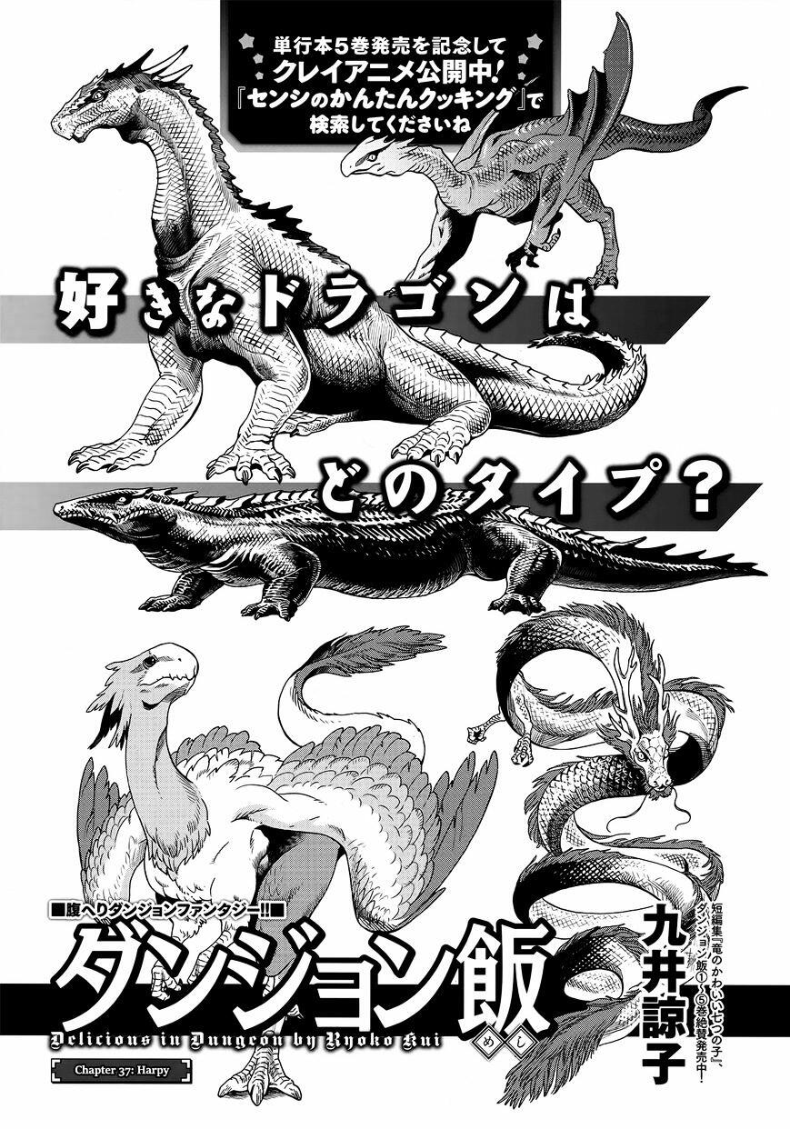 Dungeon Meshi Chapter 37 : Harpy page 1 - Mangakakalot