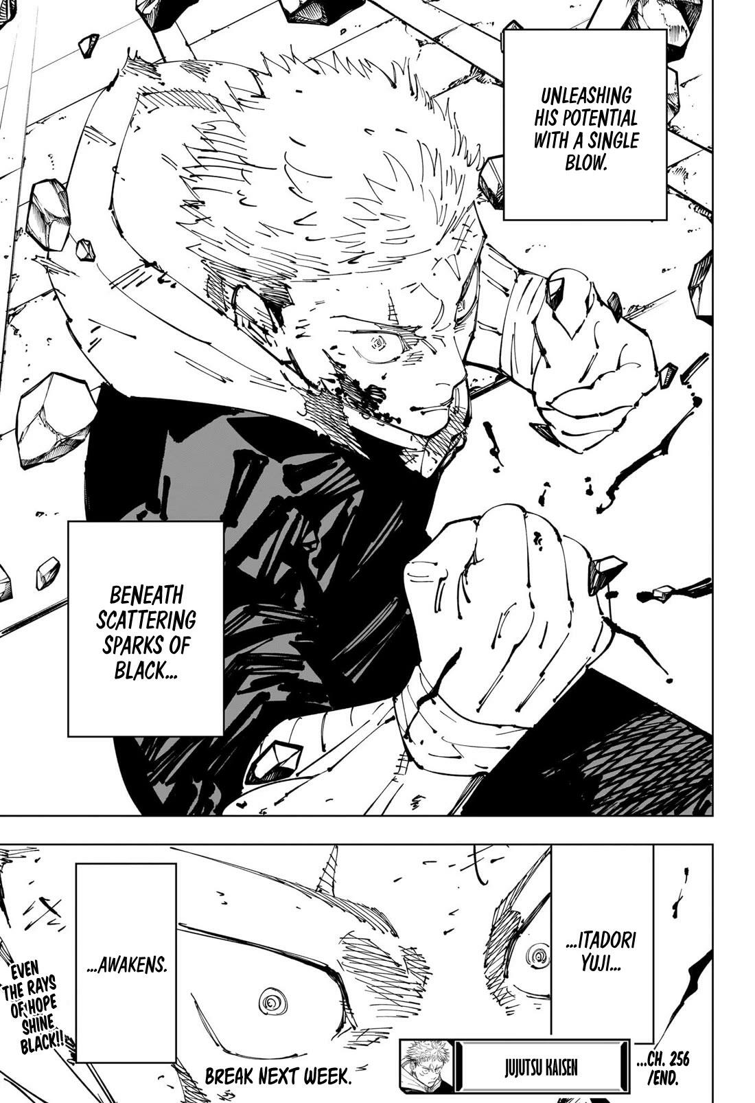 Jujutsu Kaisen Chapter 256: The Decisive Battle In The Uninhabited, Demon-Infested Shinjuku ㉘ page 20 - kaisenjujutsu.com