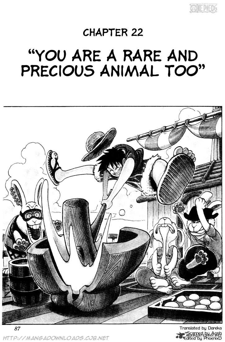 Animal  One piece pictures, One piece comic, One piece images