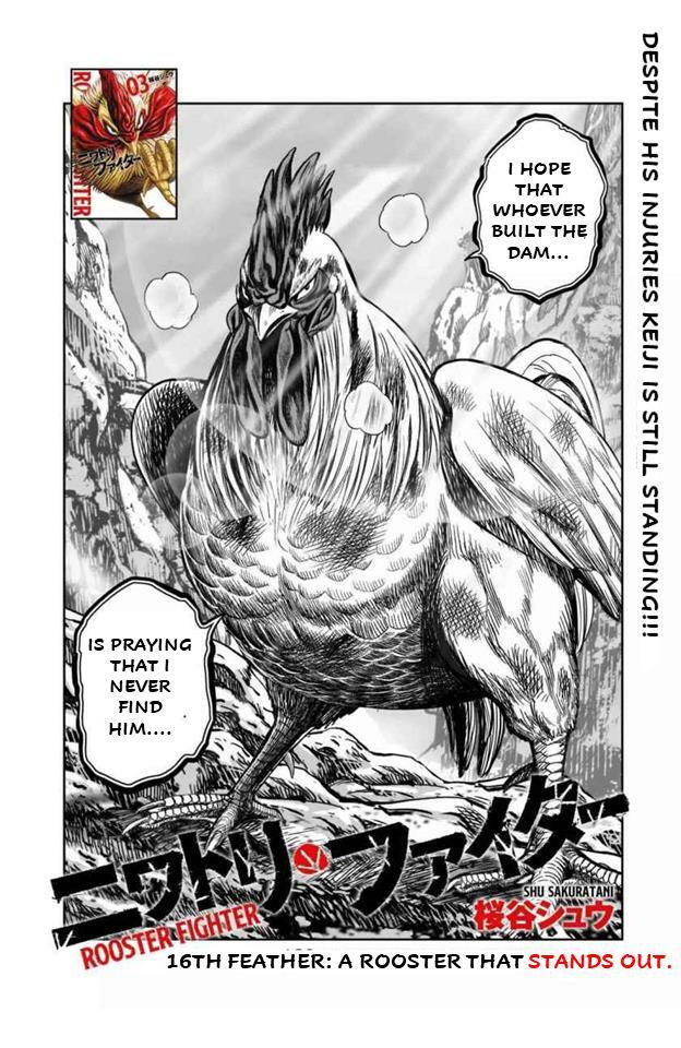 Rooster Fighter, Vol. 3 by Shu Sakuratani, Paperback