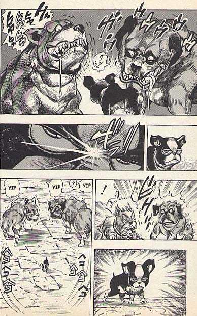 Jojo's Bizarre Adventure Vol.24 Chapter 222 : The Pet Shop At The Gates Of Hell Pt.1 page 10 - 