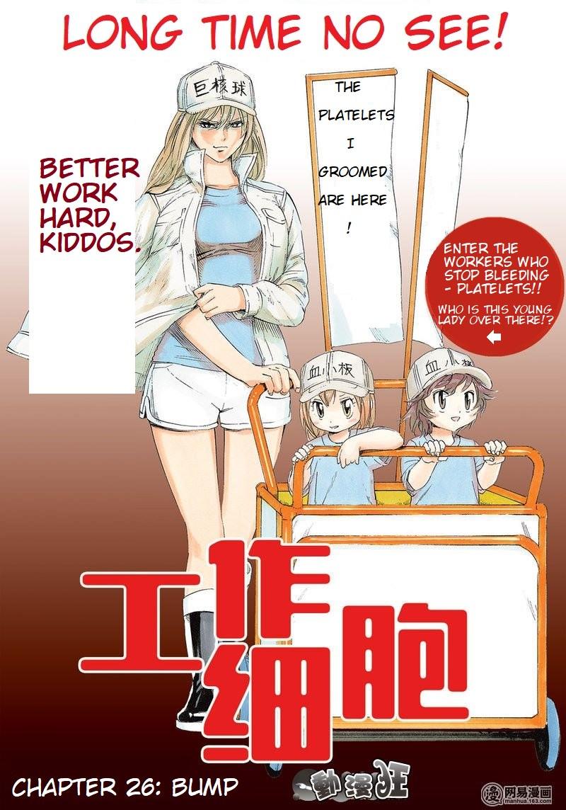 Hataraku Saibou Lady Manga Online Free - Manganelo