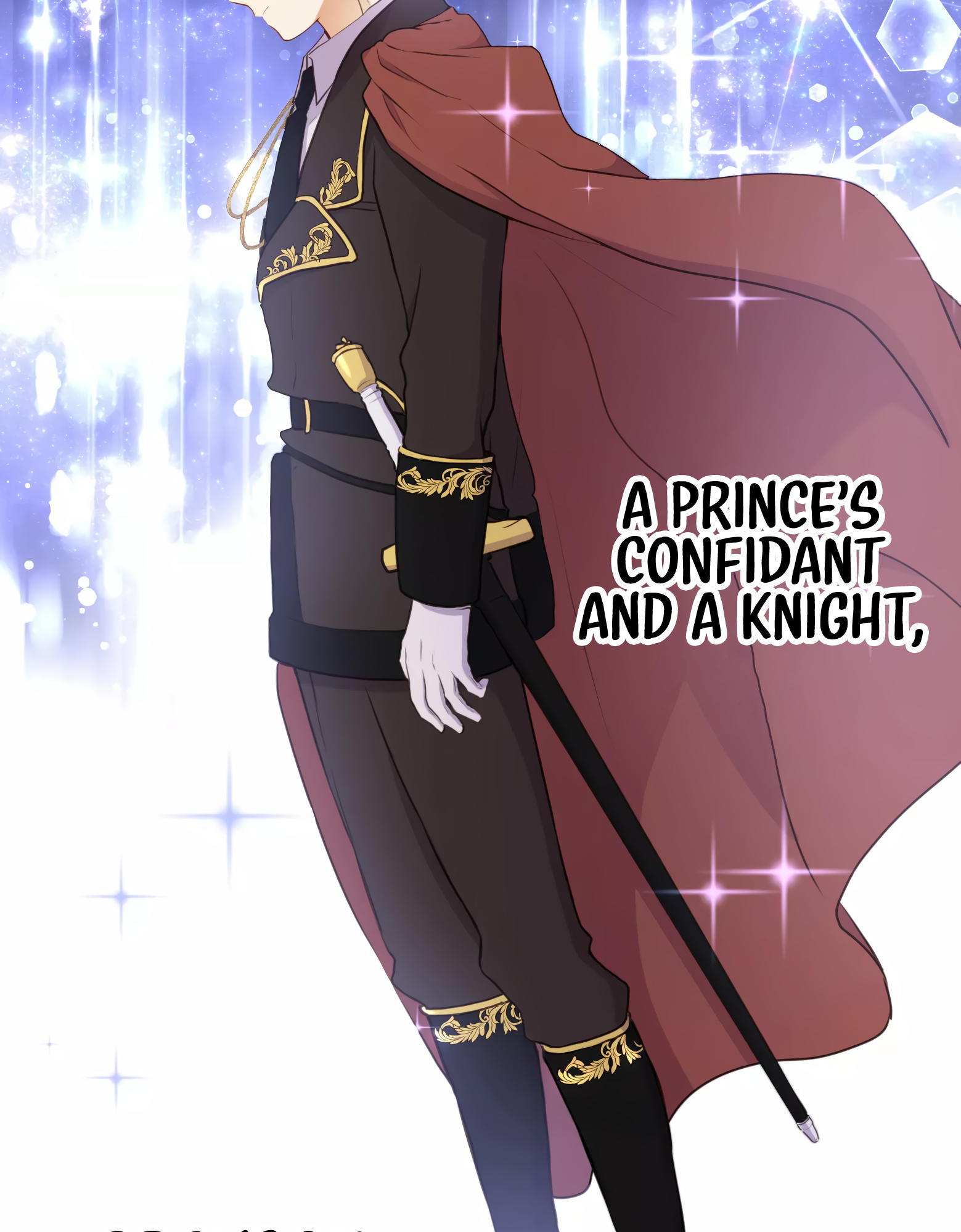 MASKED KNIGHT WILL NEVER DECEIVE THE VILLAINESS chapter-2 Page 94