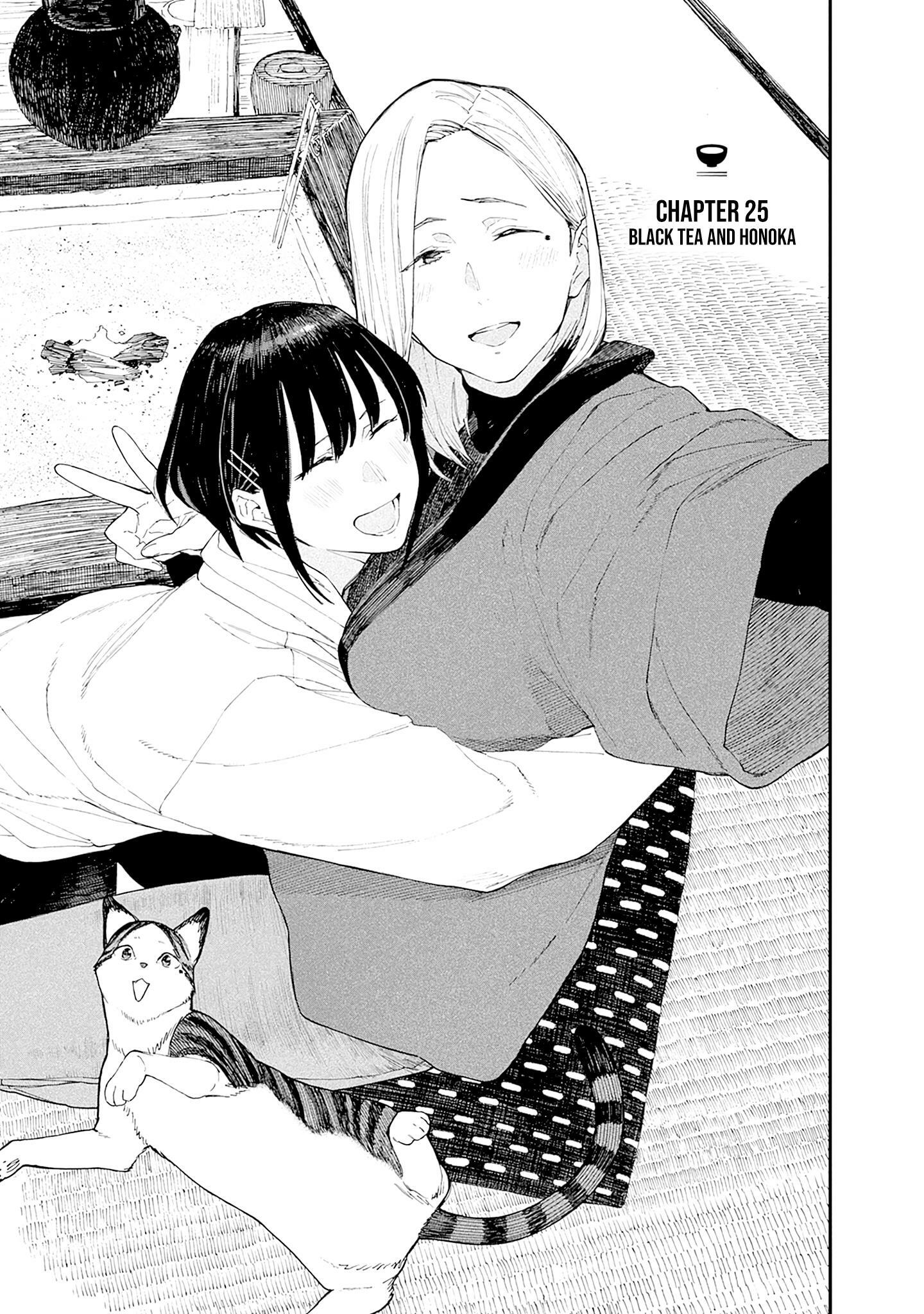 Kaguya-sama: Love Is War, Vol. 25 (25)